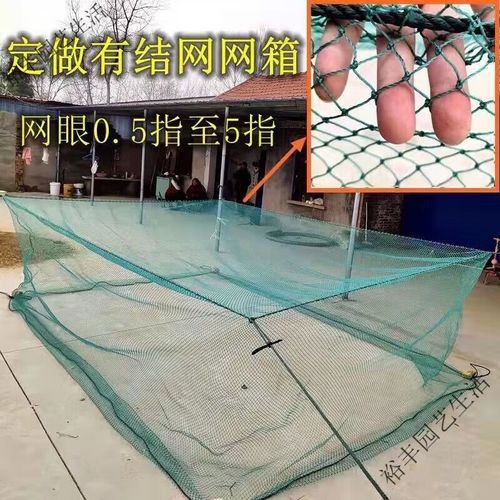 黄鳝价格今日行情如何?-第2张图片-宁夏农业信息网 黄鳝价格今日行情如何?-第2张图片-宁夏农业信息网