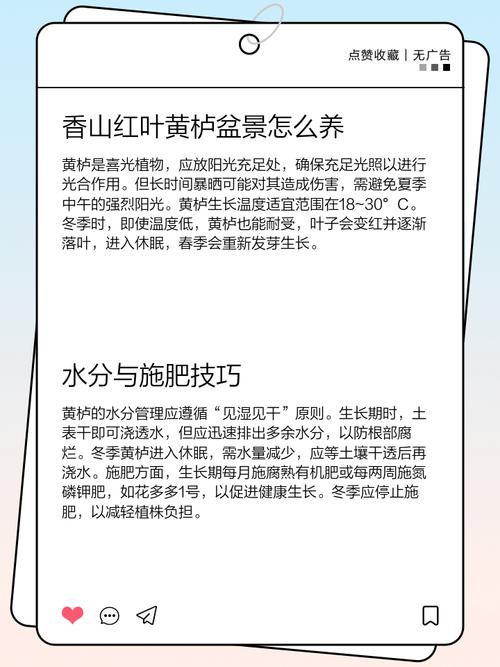 红叶怎么养?有哪些注意事项?-第1张图片-宁夏农业信息网 红叶怎么养?有哪些注意事项?-第1张图片-宁夏农业信息网
