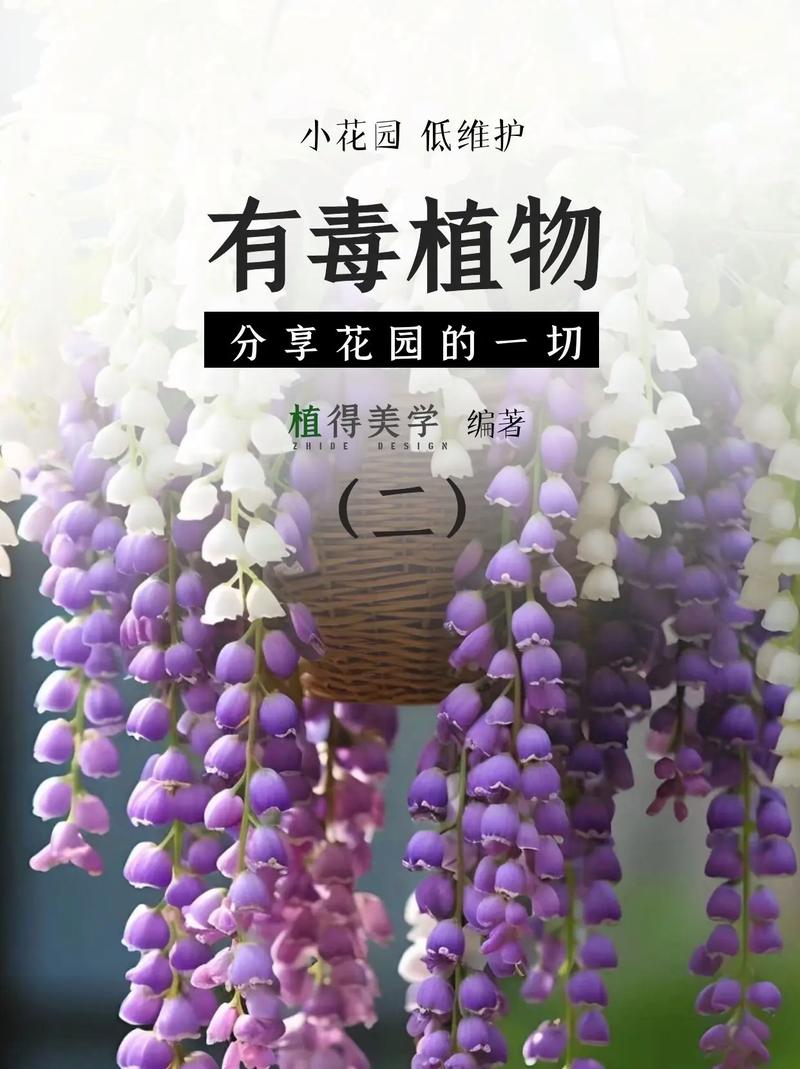 常见有毒花卉品种有哪些?-第1张图片-宁夏农业信息网 常见有毒花卉品种有哪些?-第1张图片-宁夏农业信息网