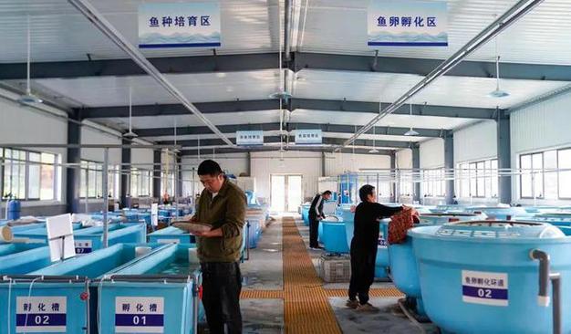 南宁水产养殖公司如何赋能农户?-第3张图片-宁夏农业信息网 南宁水产养殖公司如何赋能农户?-第3张图片-宁夏农业信息网