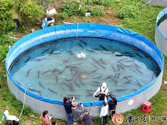 南宁水产养殖公司如何赋能农户？-第1张图片-宁夏农业信息网