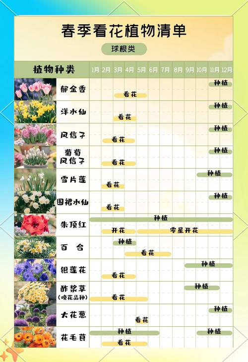 常见观花植物有哪些品种？-第1张图片-宁夏农业信息网