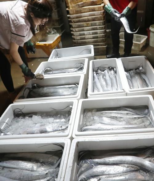 大连辽渔水产品批发市场有何特色？-第1张图片-宁夏农业信息网