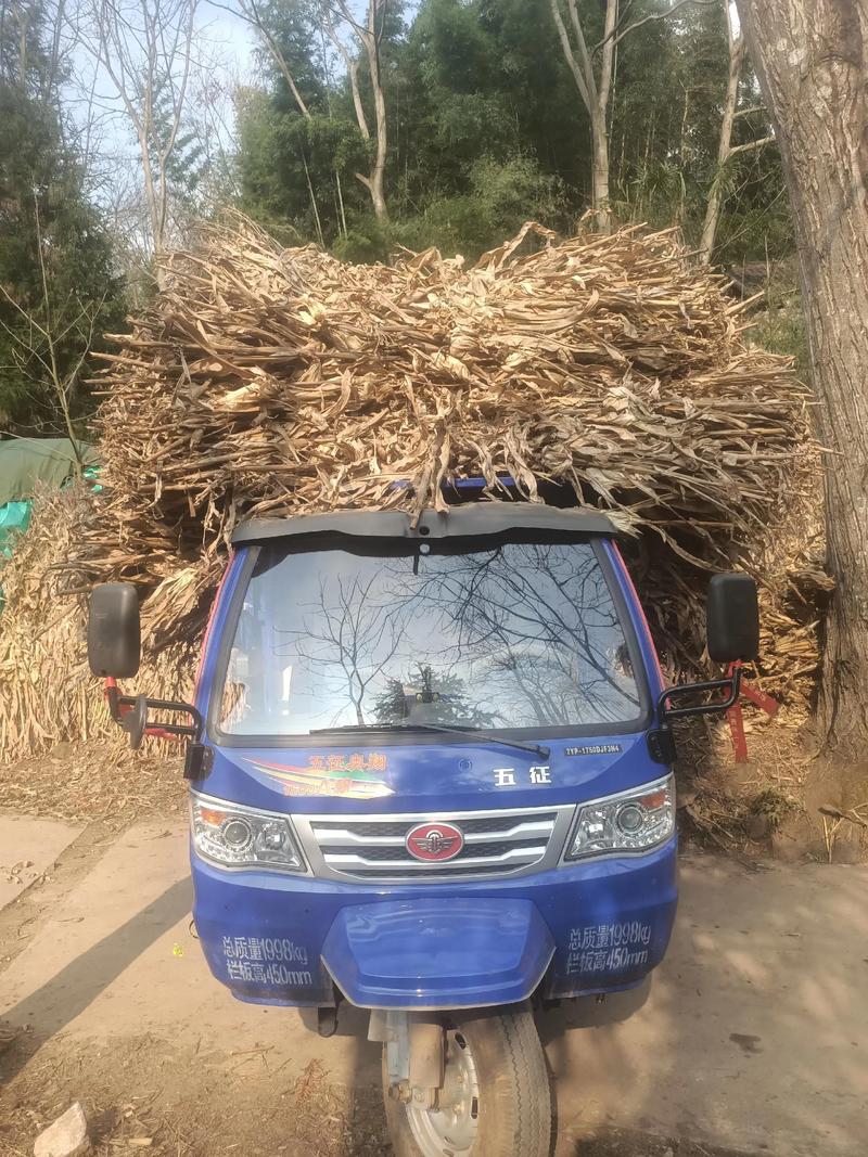 恩施二手农用车赶集网能买到放心车吗?-第3张图片-宁夏农业信息网 恩施二手农用车赶集网能买到放心车吗?-第3张图片-宁夏农业信息网