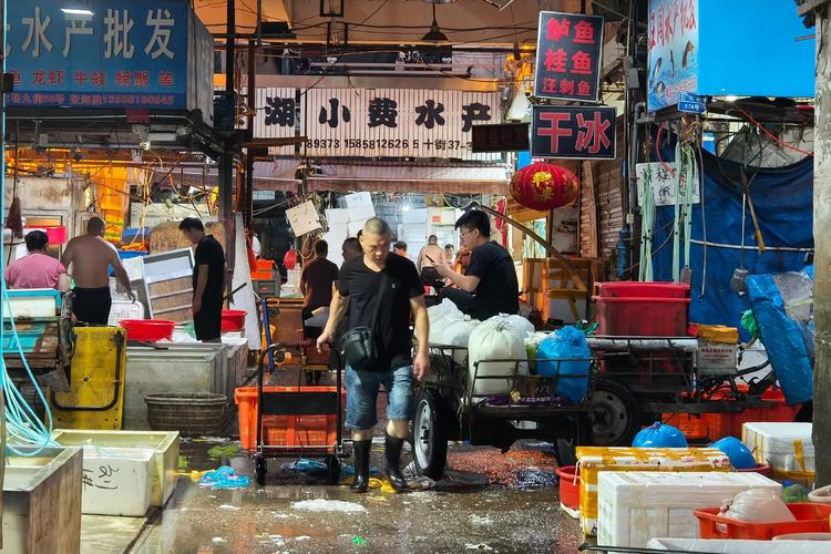 杭州最大水产批发市场在哪里?-第1张图片-宁夏农业信息网 杭州最大水产批发市场在哪里?-第1张图片-宁夏农业信息网