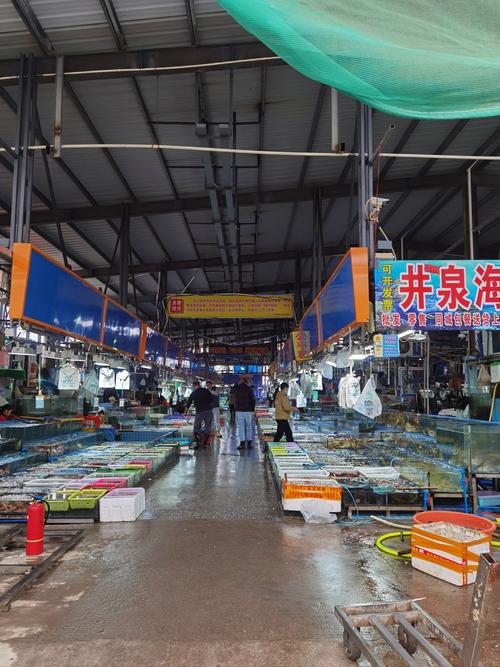 宁波水产批发市场具体位置在哪?-第1张图片-宁夏农业信息网 宁波水产批发市场具体位置在哪?-第1张图片-宁夏农业信息网