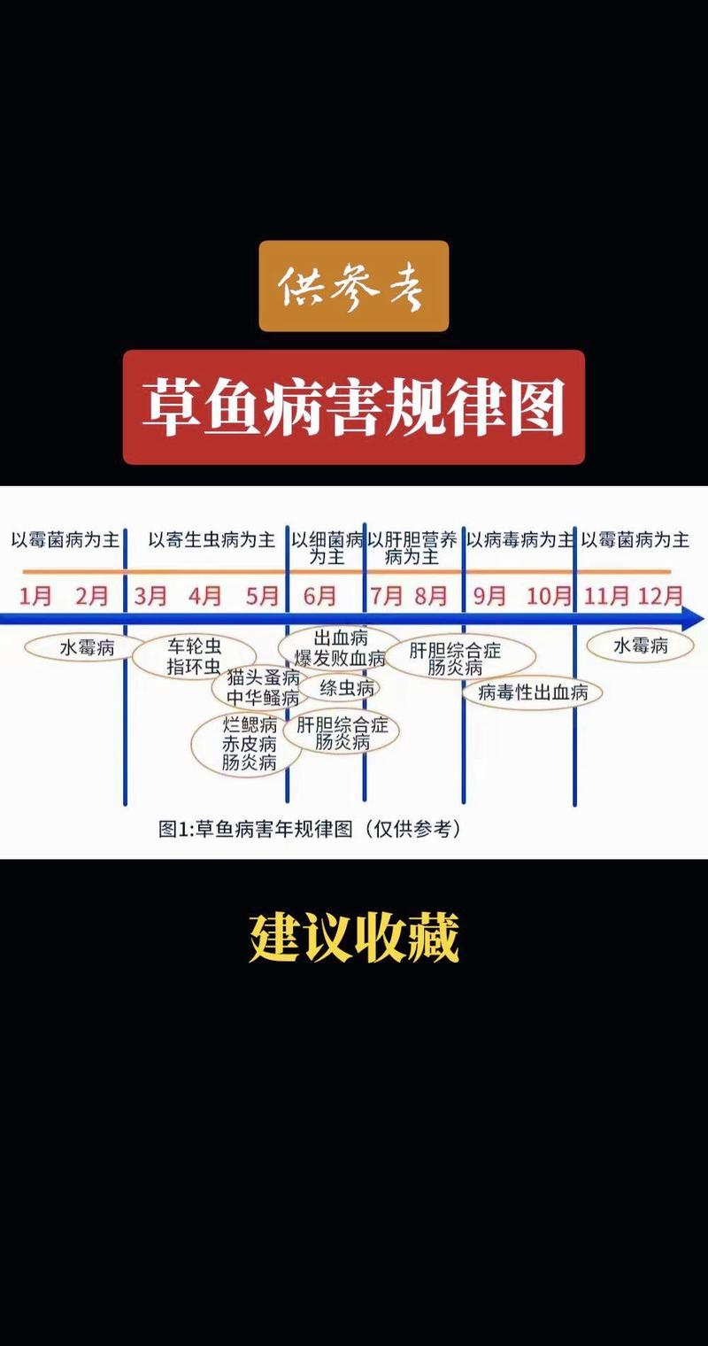 草鱼病怎么防?治了还反复怎么办?-第1张图片-宁夏农业信息网 草鱼病怎么防?治了还反复怎么办?-第1张图片-宁夏农业信息网