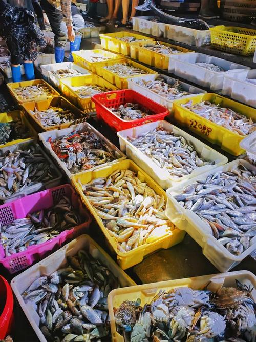 广东最大的水产批发市场-第1张图片-宁夏农业信息网 广东最大的水产批发市场-第1张图片-宁夏农业信息网