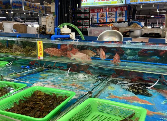 广东最大的水产批发市场-第2张图片-宁夏农业信息网 广东最大的水产批发市场-第2张图片-宁夏农业信息网