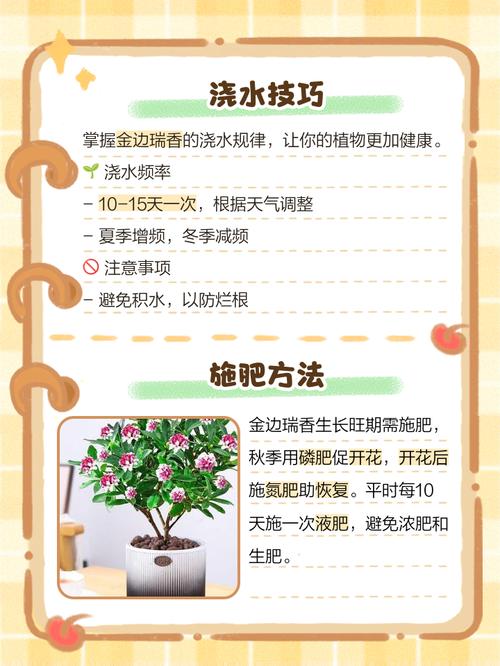 喷栽金边瑞香土怎么消毒?-第1张图片-宁夏农业信息网 喷栽金边瑞香土怎么消毒?-第1张图片-宁夏农业信息网