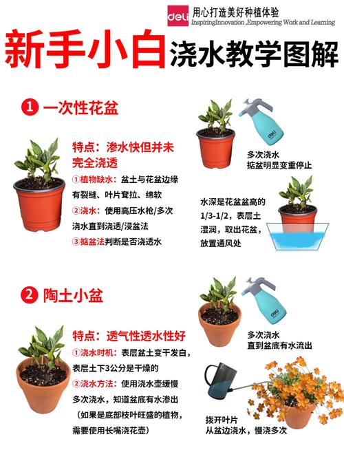 白醋浇绿萝的正确方法是什么？-第1张图片-宁夏农业信息网