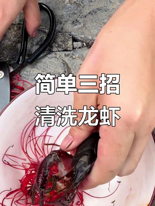 龙虾怎么治疗?视频教程教你做!-第1张图片-宁夏农业信息网 龙虾怎么治疗?视频教程教你做!-第1张图片-宁夏农业信息网