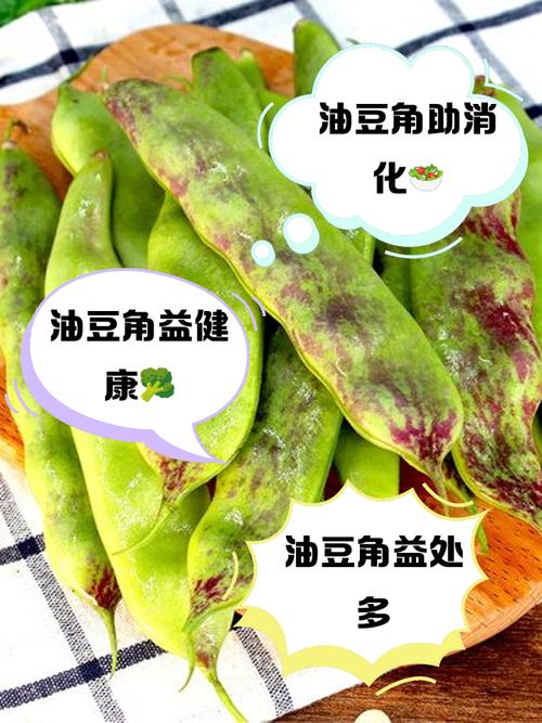 油豆角何时种？怎么种才高产？-第3张图片-宁夏农业信息网