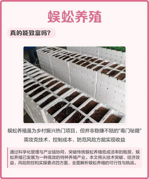 养殖蜈蚣视频教程怎么做?-第3张图片-宁夏农业信息网 养殖蜈蚣视频教程怎么做?-第3张图片-宁夏农业信息网