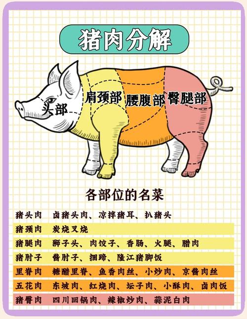 猪瘟怎么辨认？看图最简单方法是什么？-第1张图片-宁夏农业信息网