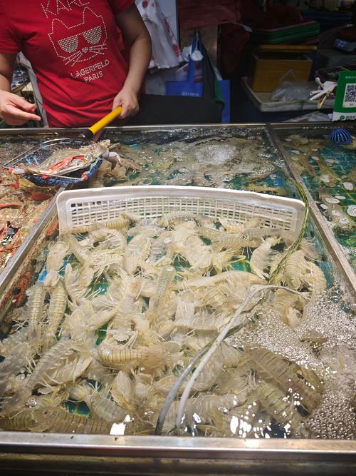 南京最大水产批发市场在哪里？-第2张图片-宁夏农业信息网