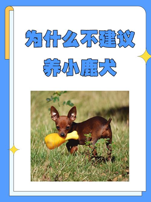 哪些鹿品种禁止养殖？-第1张图片-宁夏农业信息网