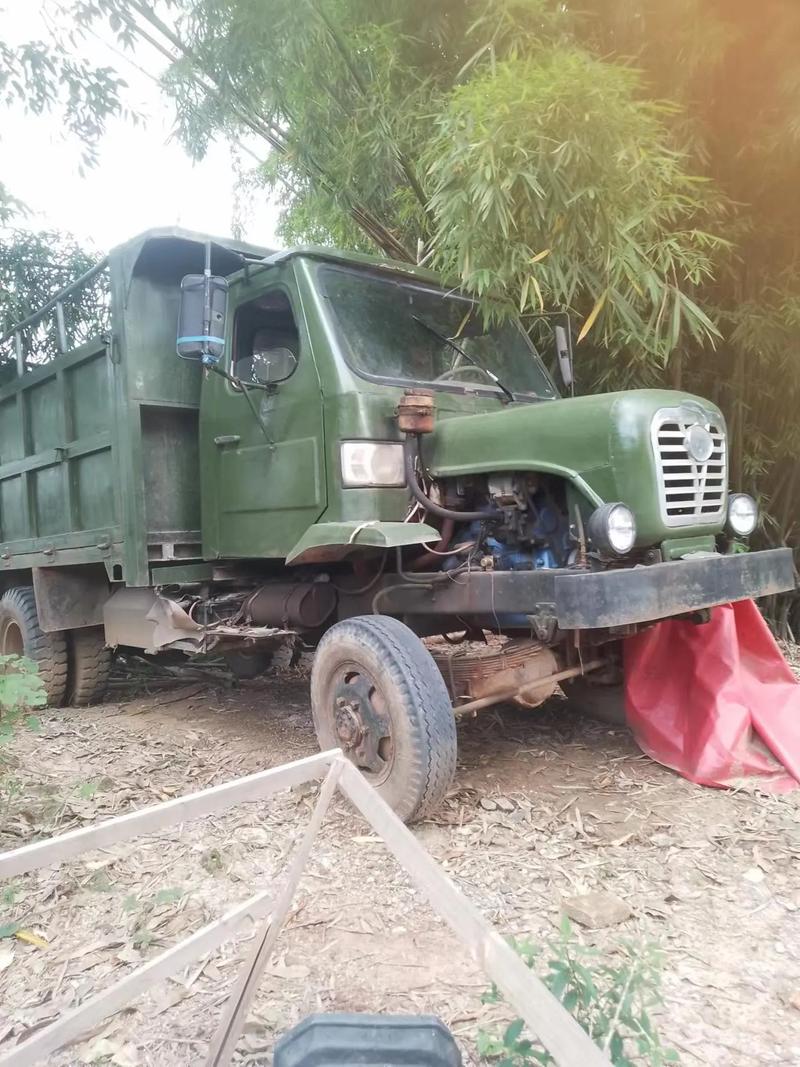 德州二手农用车哪里买？-第1张图片-宁夏农业信息网