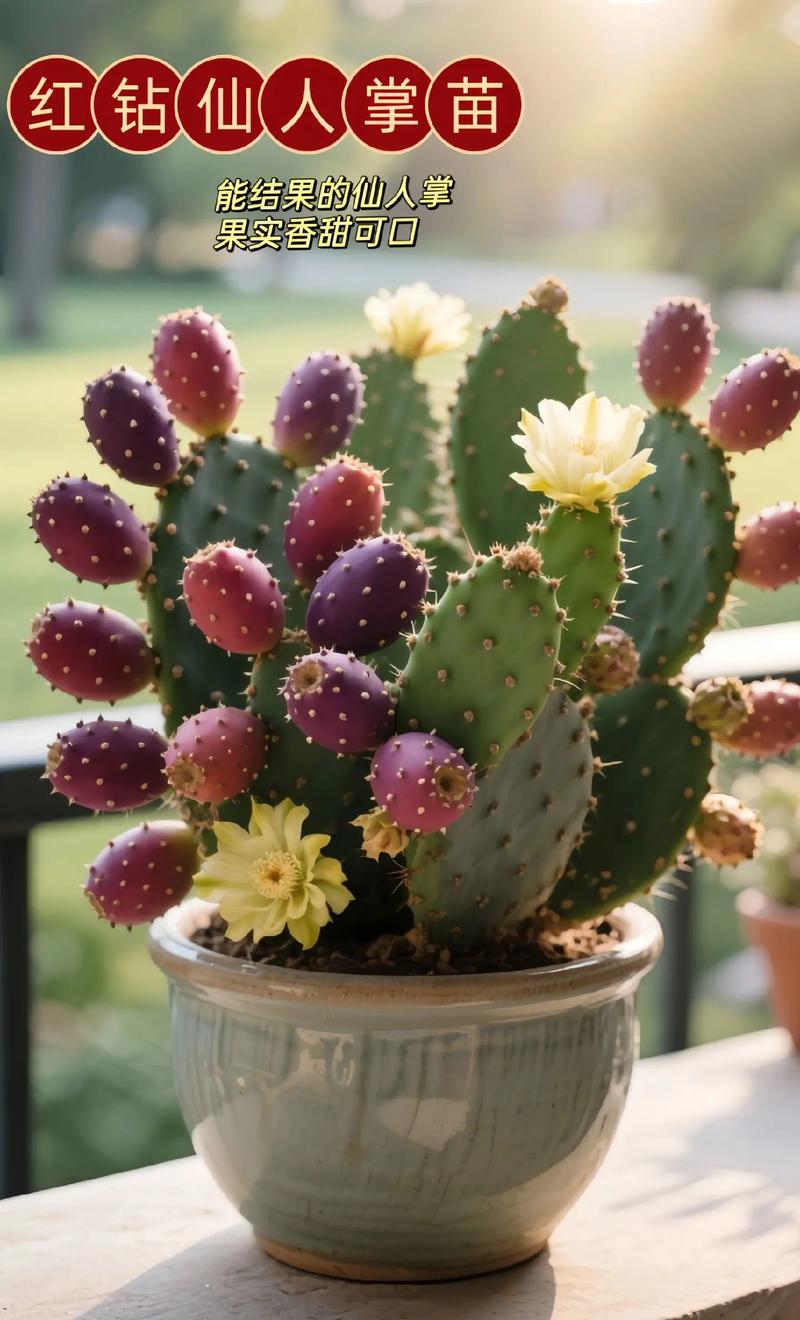 花仙人掌有哪些常见品种及名称？-第1张图片-宁夏农业信息网