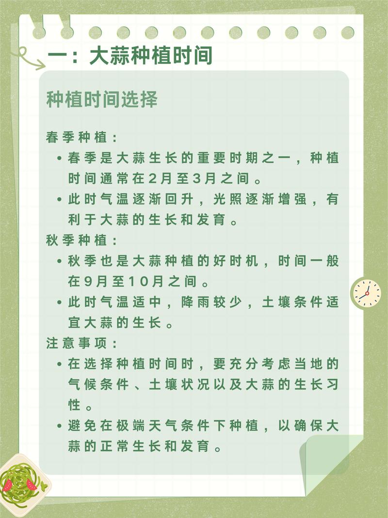 广东大蒜何时种？怎么种才高产？-第1张图片-宁夏农业信息网