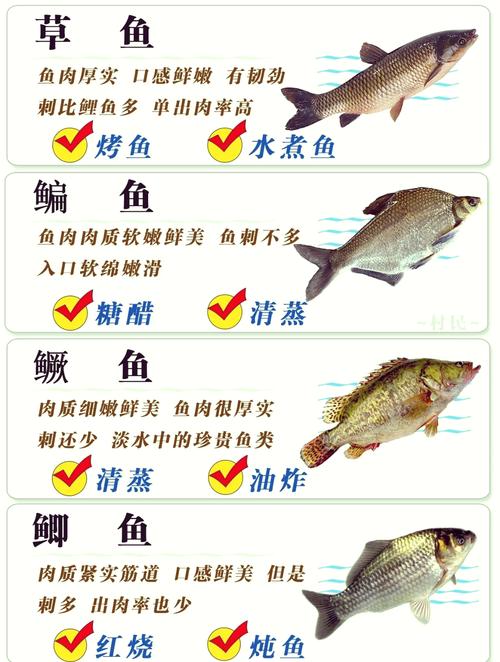 南方河里野杂鱼有哪些常见品种？-第3张图片-宁夏农业信息网