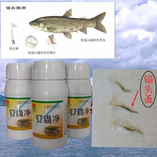 亲鱼催产药有哪些常见品种？-第3张图片-宁夏农业信息网