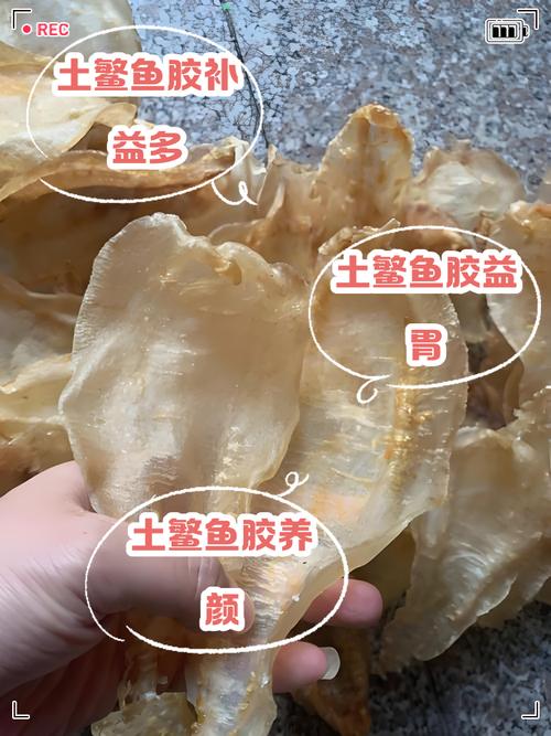 亲鱼催产药有哪些常见品种？-第1张图片-宁夏农业信息网