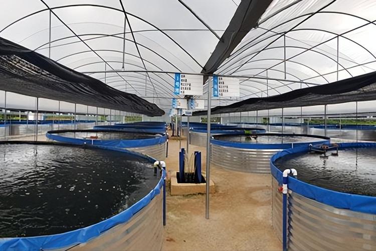 厦门水产养殖公司有何特色或优势？-第1张图片-宁夏农业信息网