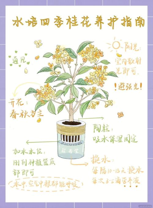 盆栽桂花换盆后怎么浇水？-第1张图片-宁夏农业信息网