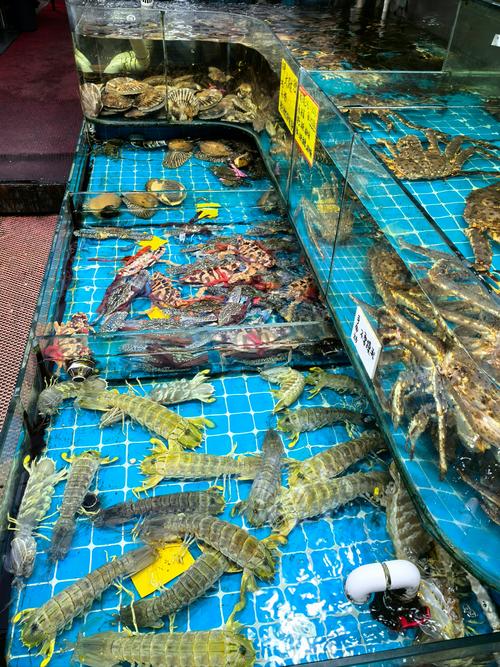 三亚湾水产市场有何特色与优势？-第3张图片-宁夏农业信息网