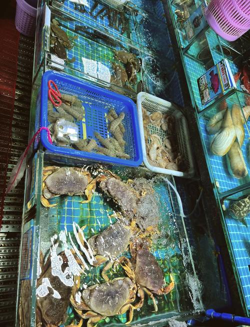 三亚湾水产市场有何特色与优势？-第2张图片-宁夏农业信息网