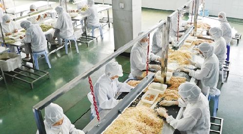 瑞安市华盛水产有限公司怎么样?-第2张图片-宁夏农业信息网 瑞安市华盛水产有限公司怎么样?-第2张图片-宁夏农业信息网