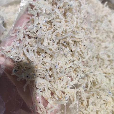 瑞安市华盛水产有限公司怎么样?-第1张图片-宁夏农业信息网 瑞安市华盛水产有限公司怎么样?-第1张图片-宁夏农业信息网