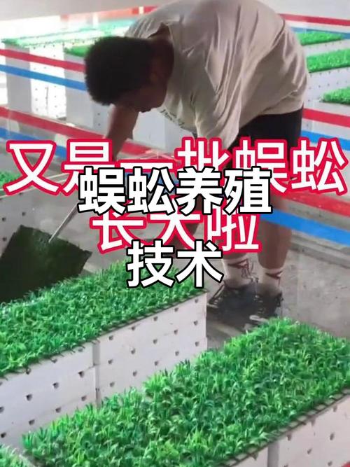 蜈蚣怎么养？视频教程教你方法。-第1张图片-宁夏农业信息网