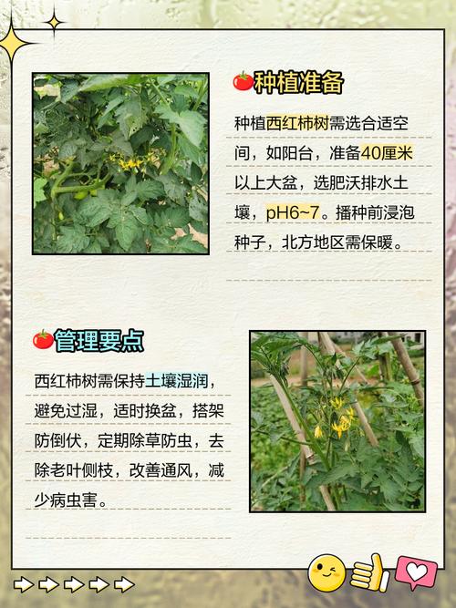 种植业应以什么品种为核心？-第2张图片-宁夏农业信息网