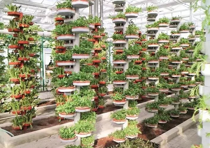 种植业应以什么品种为核心？-第1张图片-宁夏农业信息网