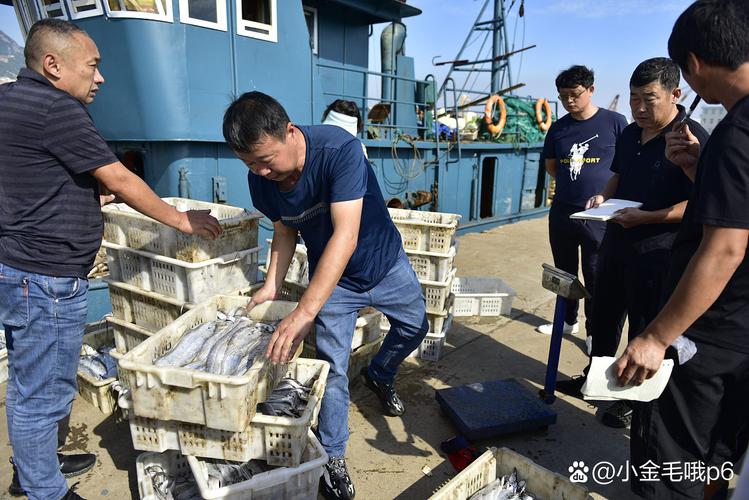 厦门东海洋水产公司主营什么业务？-第2张图片-宁夏农业信息网