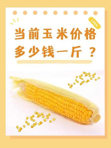 吉东28玉米种价格多少？-第1张图片-宁夏农业信息网