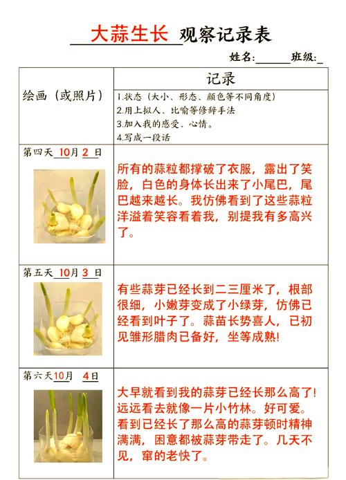 蒜苗在家怎么种？时间、方法有哪些？-第2张图片-宁夏农业信息网