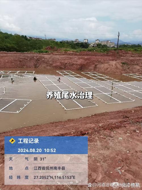 鱼塘淤泥过多怎么办？清淤方法有哪些？-第2张图片-宁夏农业信息网