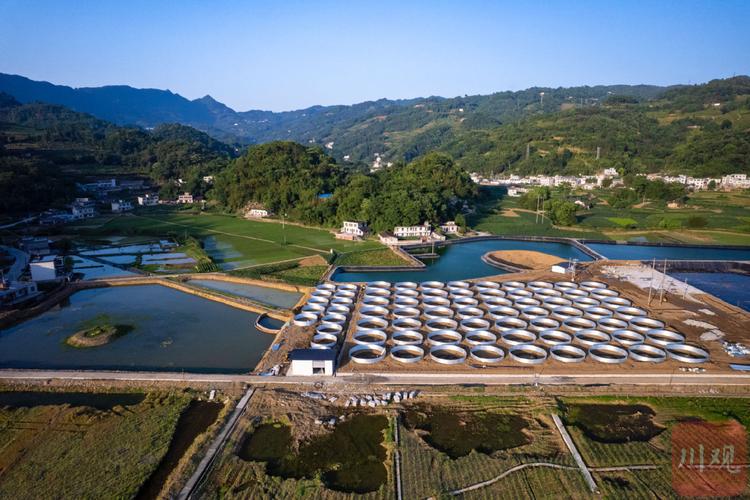 水产养殖有限公司如何发展？-第3张图片-宁夏农业信息网