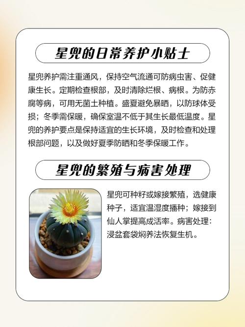 兜多肉多久浇一次水？-第1张图片-宁夏农业信息网