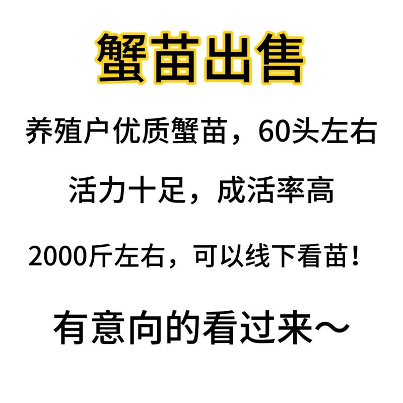 螃蟹养殖中国水产养殖网有何新动态？-第3张图片-宁夏农业信息网