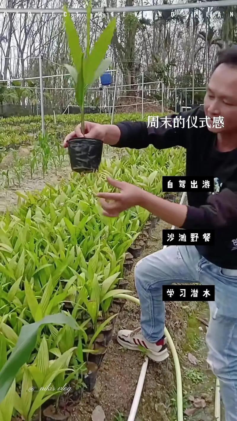 EM菌发酵鱼饲料怎么做？-第3张图片-宁夏农业信息网