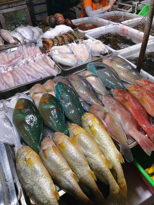 常见水产产品有哪些？-第2张图片-宁夏农业信息网