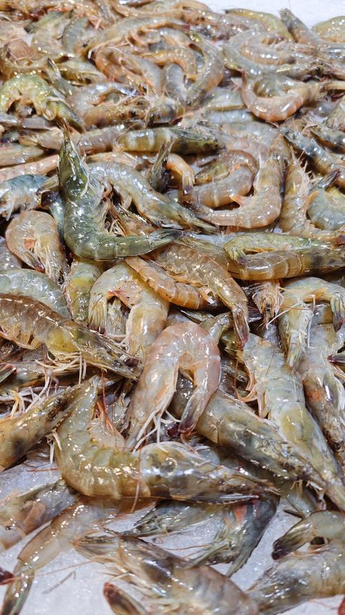 常见水产产品有哪些？-第3张图片-宁夏农业信息网