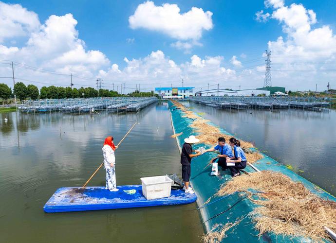 国家级水产健康养殖示范有何核心标准？-第3张图片-宁夏农业信息网
