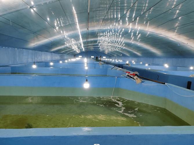 国家级水产健康养殖示范有何核心标准？-第2张图片-宁夏农业信息网