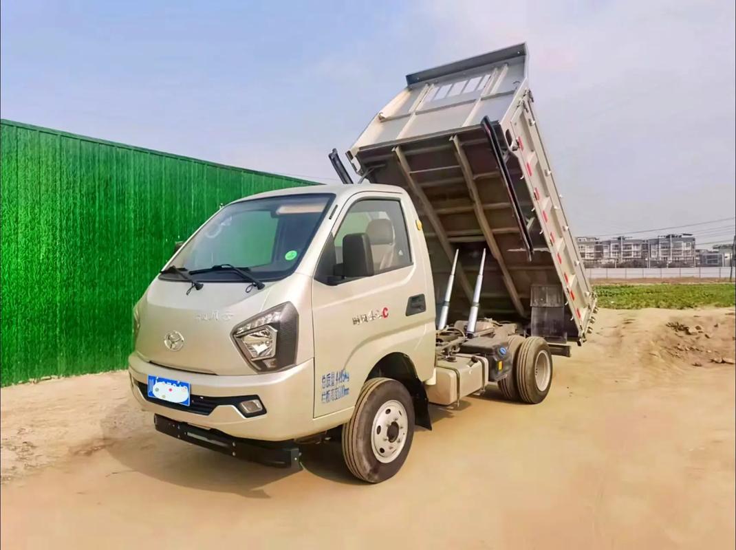 奉节二手自卸农用车多少钱能买？-第3张图片-宁夏农业信息网