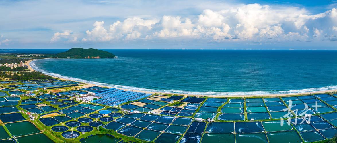 海水养殖场如何高效养殖某水产品？-第3张图片-宁夏农业信息网